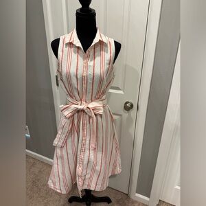 J. Crew Striped Midi Dress